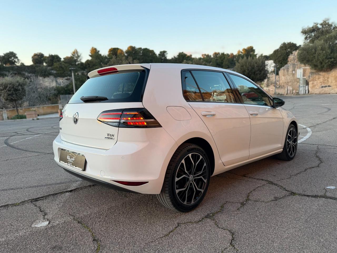 Volkswagen Golf/1.6 TDI 90CV/CAR PLAY/CERCHI 17"/NEOPATENTATI