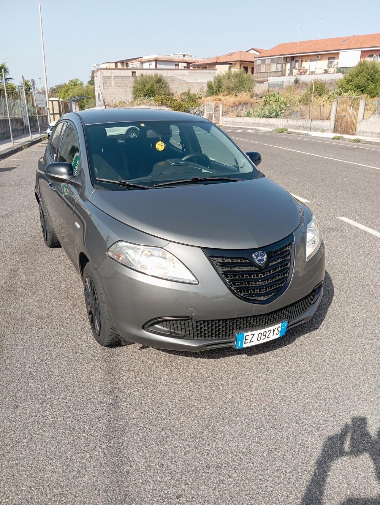 Lancia Ypsilon 1.2 69 CV 5 porte Elefantino[2015]