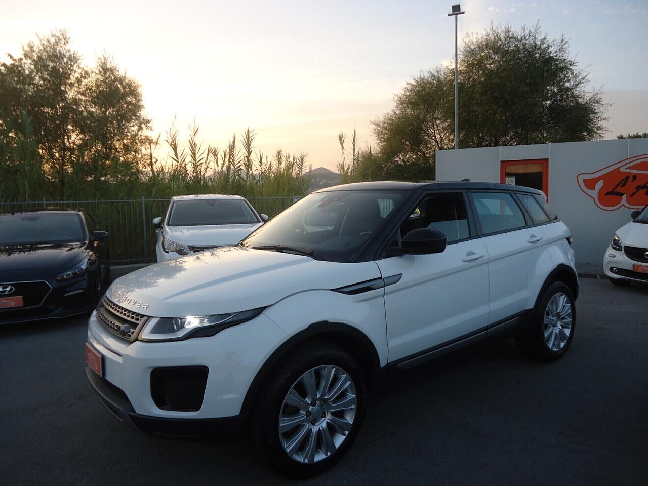 Land Rover Range Rover Evoque 2.0 TD4 180 CV 5p. Business Edition Pure