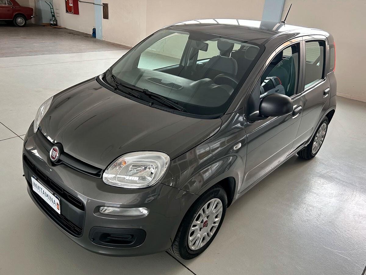 Fiat Panda 1.2 69cv Easy