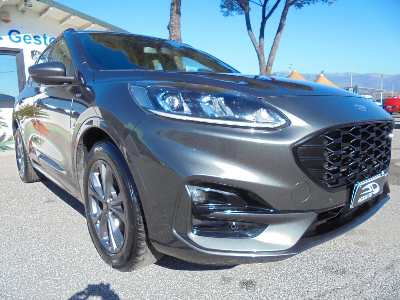 Ford Kuga 1.5 EcoBlue 120 CV 2WD ST-Line