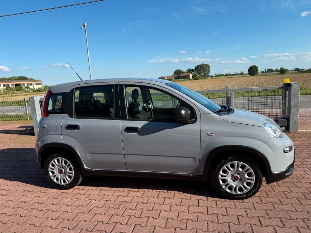Fiat Panda 1.0 FireFly S&S Hybrid Euro6d