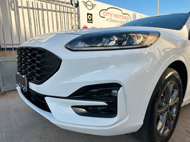 Ford Kuga 2.0 EcoBlue 120 CV aut. 2WD ST-Line X