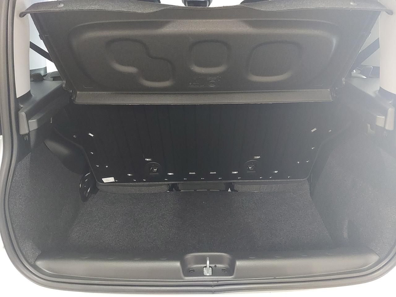 FIAT Panda 3ª serie Panda 1.0 FireFly S&S Hybrid