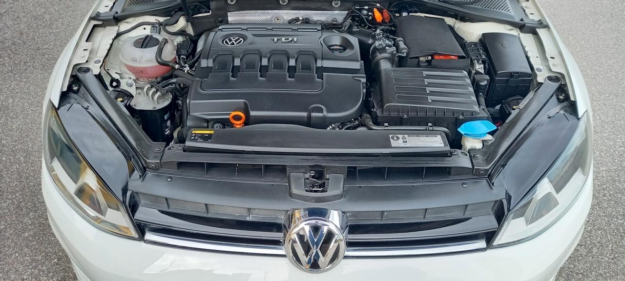 Volkswagen Golf 7 Allestimento Highline cc. 1.6 TDI Turbodiesel Manuale 5 Porte 5 Posti UTILIZZABILE X I NEOPATENTATI 2025...!!!!