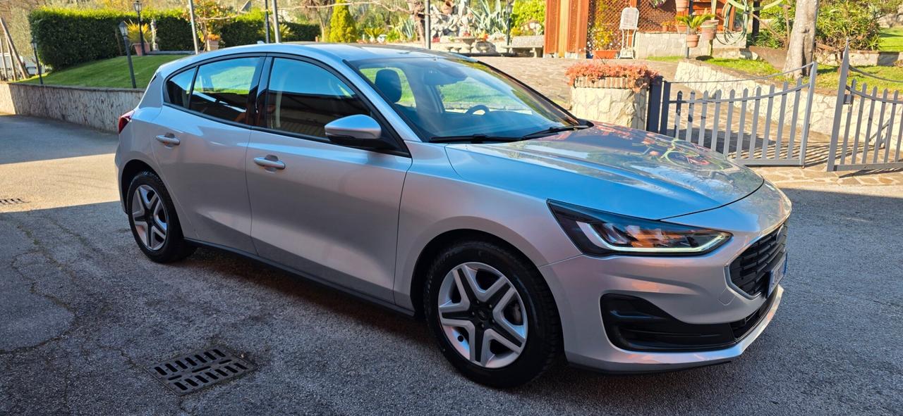 Ford Focus 1.5 EcoBlue 120 CV 5p. Business