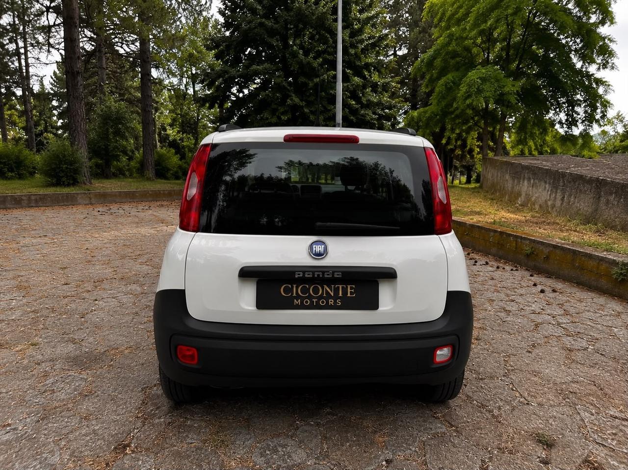 Fiat Panda van