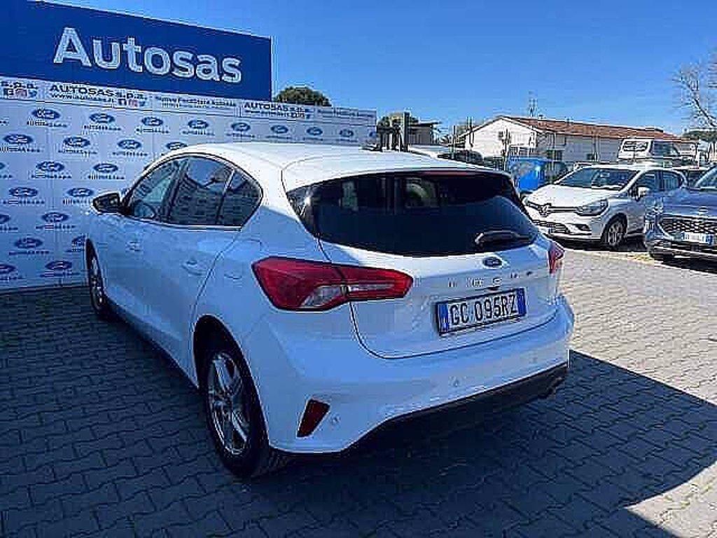 FORD Focus 1.0 EcoBoost 100 CV 5p. Business del 2020