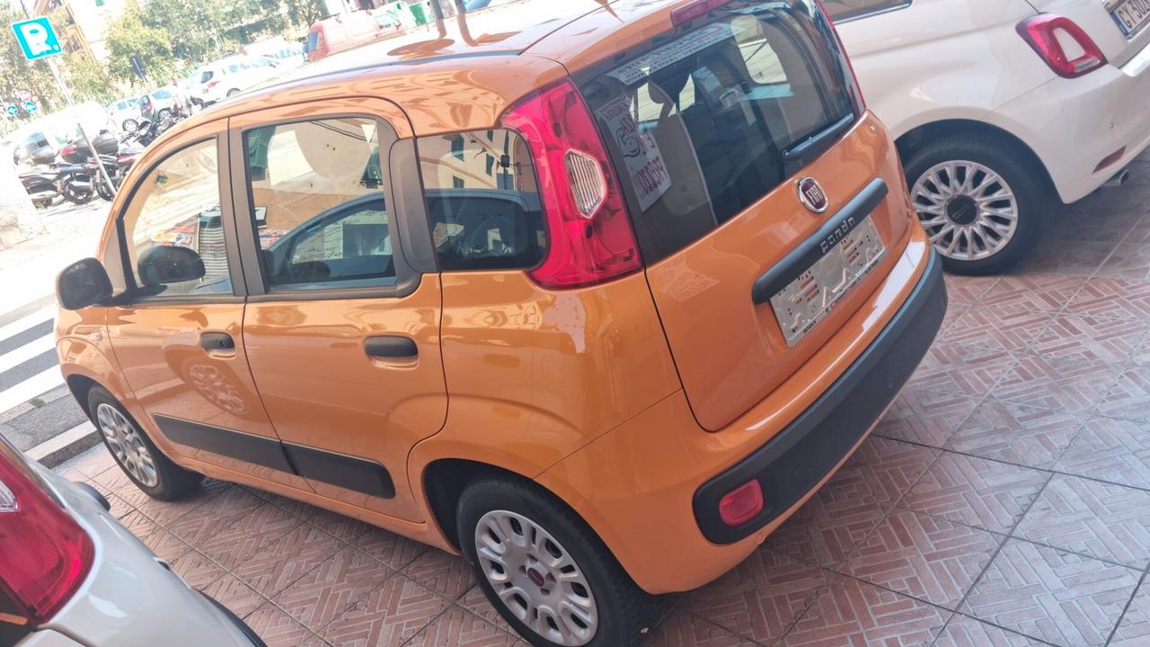 Fiat Panda 1.2 Lounge PER NEOPATENTATI 5 POSTI