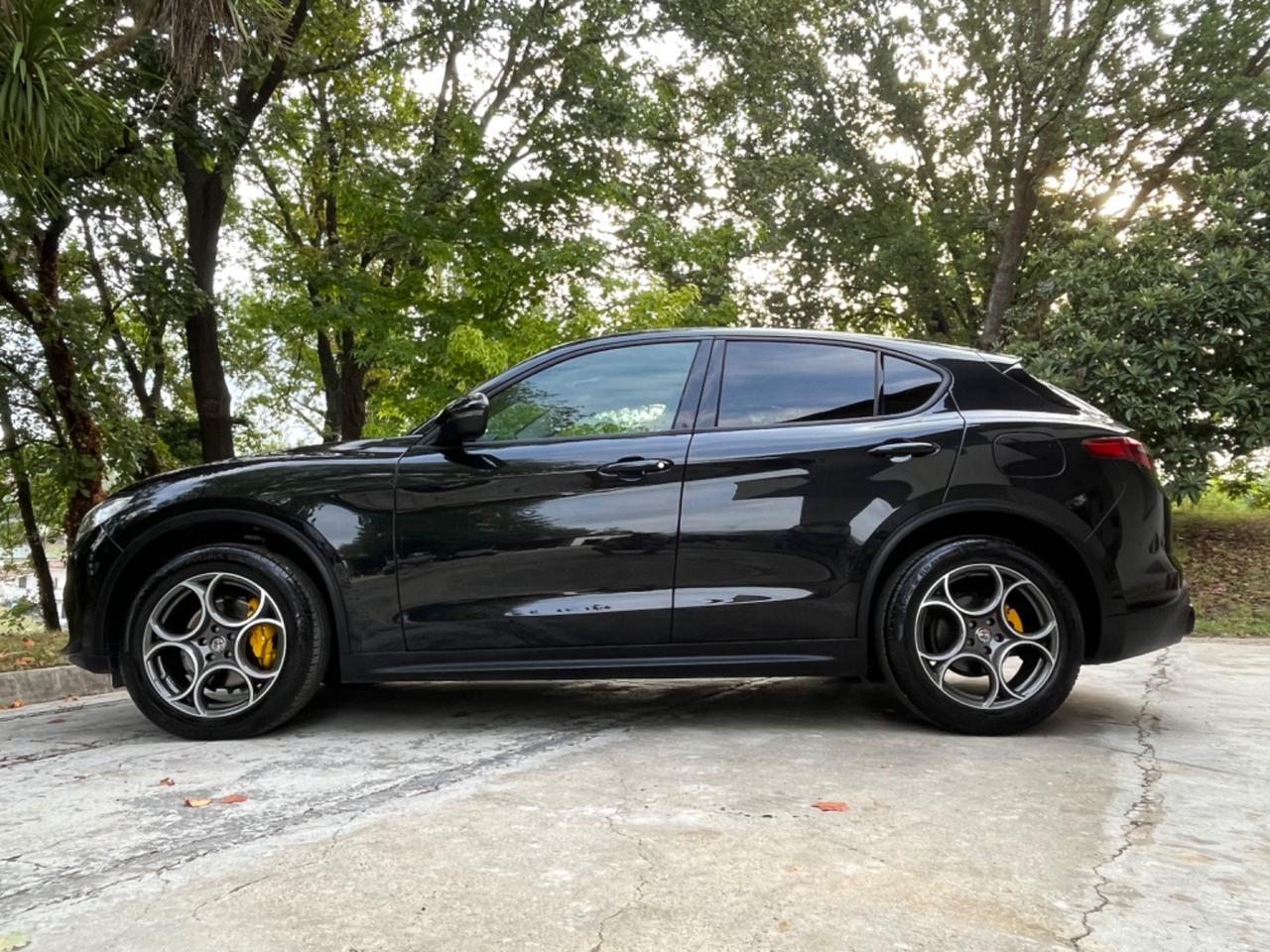 Alfa Romeo Stelvio 2.2 Turbodiesel 210 CV AT8 Q4 Executive