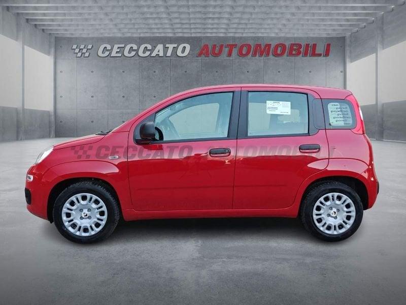 FIAT Panda Panda 1.0 70cv Hybrid Icon