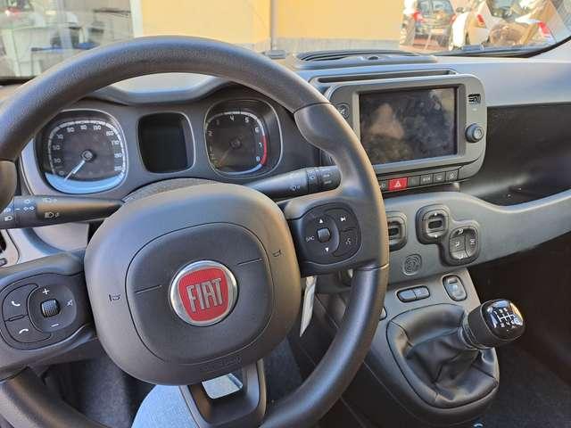 Fiat Panda Panda 1.0 firefly hybrid City Cross 9200KM PRNTA C