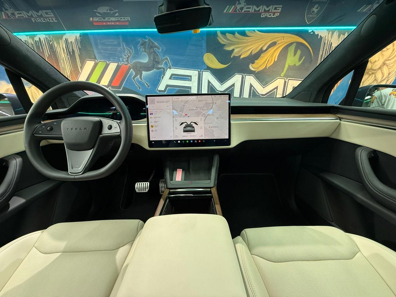Tesla Model X LONG RANGE (734)