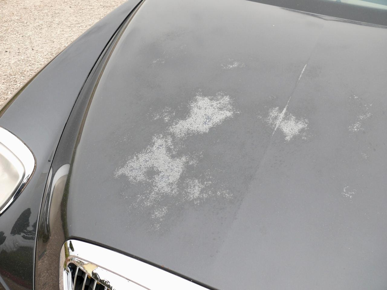 Lancia Thesis 2.4 JTD 20V aut. (M1328)
