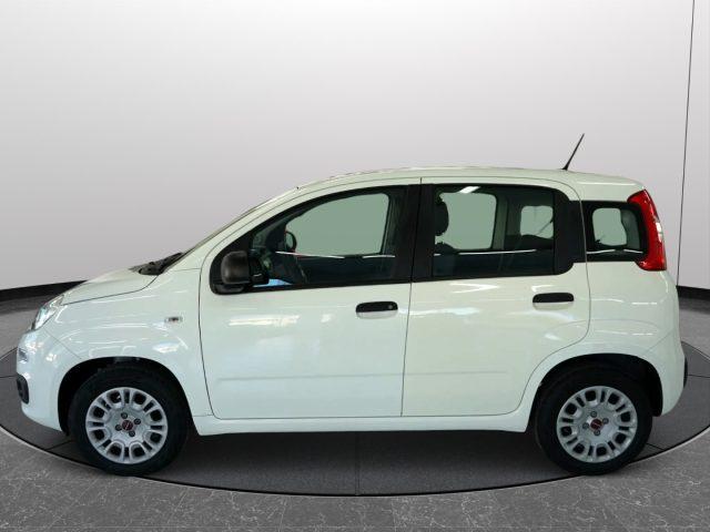 FIAT Panda 1.2 EasyPower Easy UNICO PROPRIETARIO