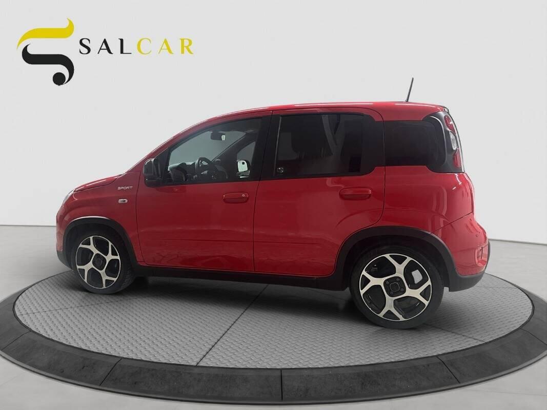 Fiat Panda 1.0 firefly 70cv hybrid Sport 2021