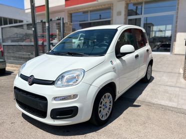 FIAT PANDAZZURRI EDIZIONE SPECIALE 1.2 69 cv