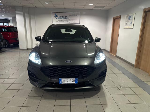 FORD Kuga 1.5 EcoBlue 120 CV 2WD ST-Line