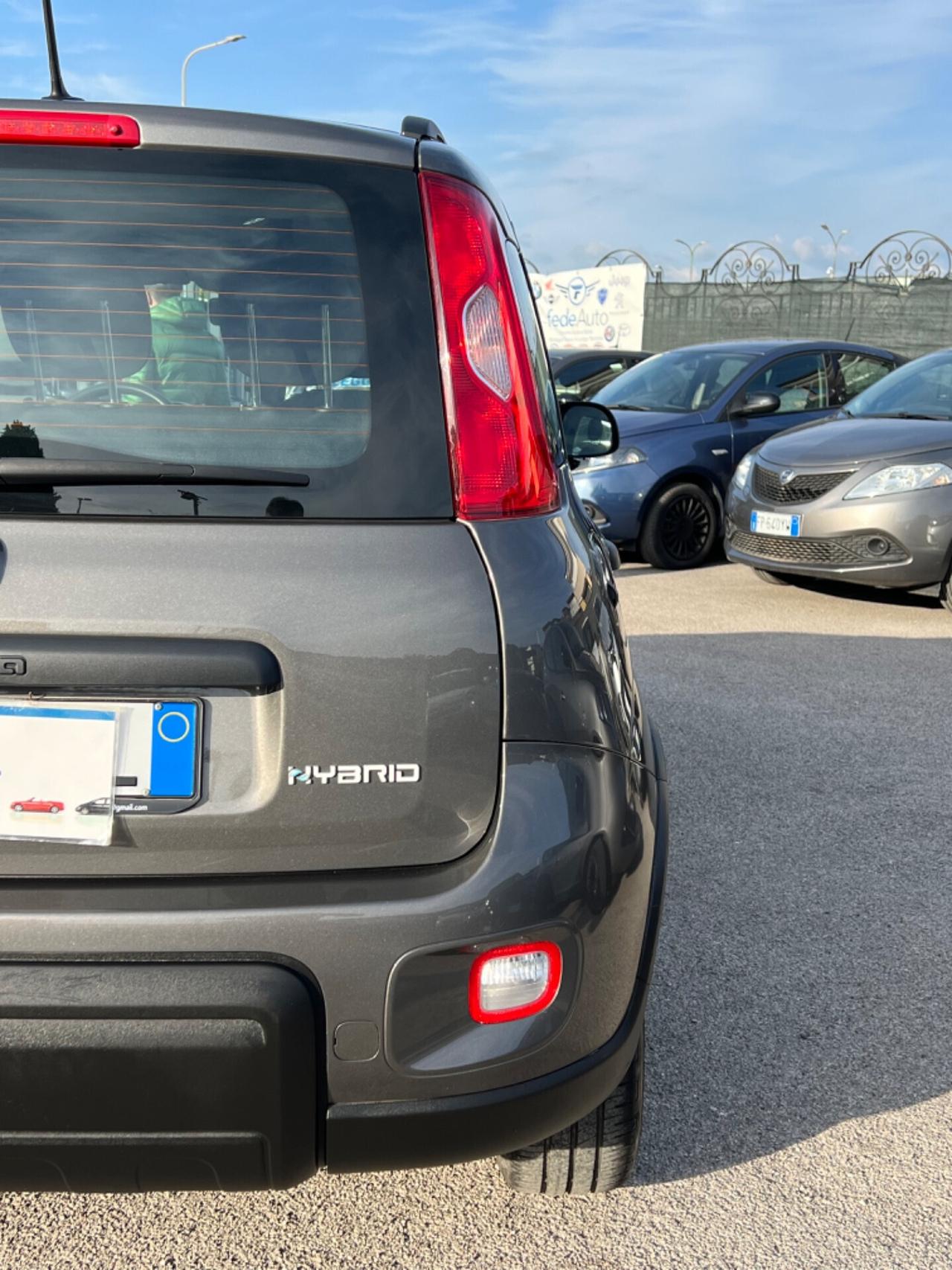 Fiat Panda Cross 1.0 FireFly S&S Hybrid Anno 2022