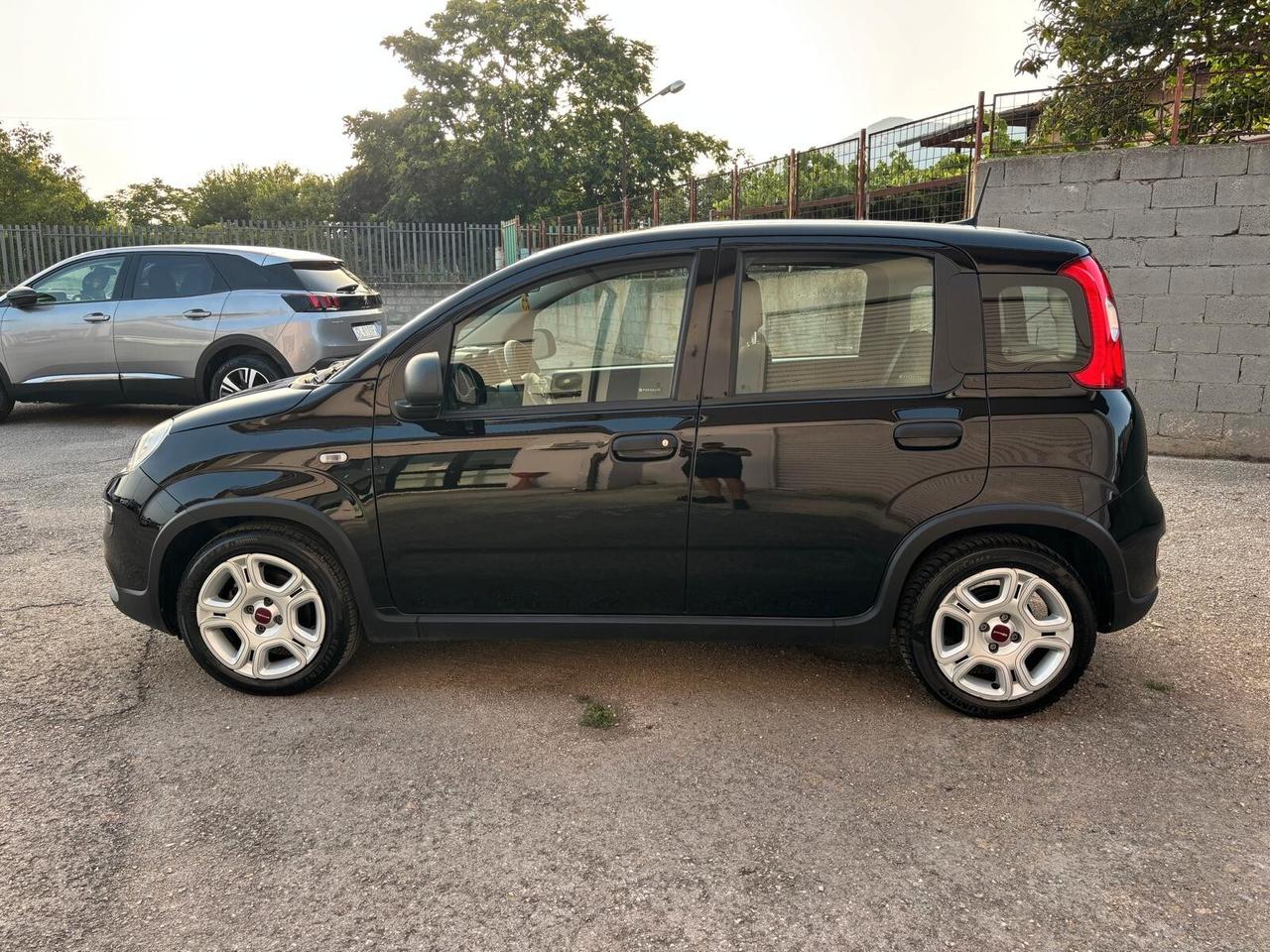 Fiat Panda 1.0 FireFly S&S Hybrid 11/2023 km 45.000