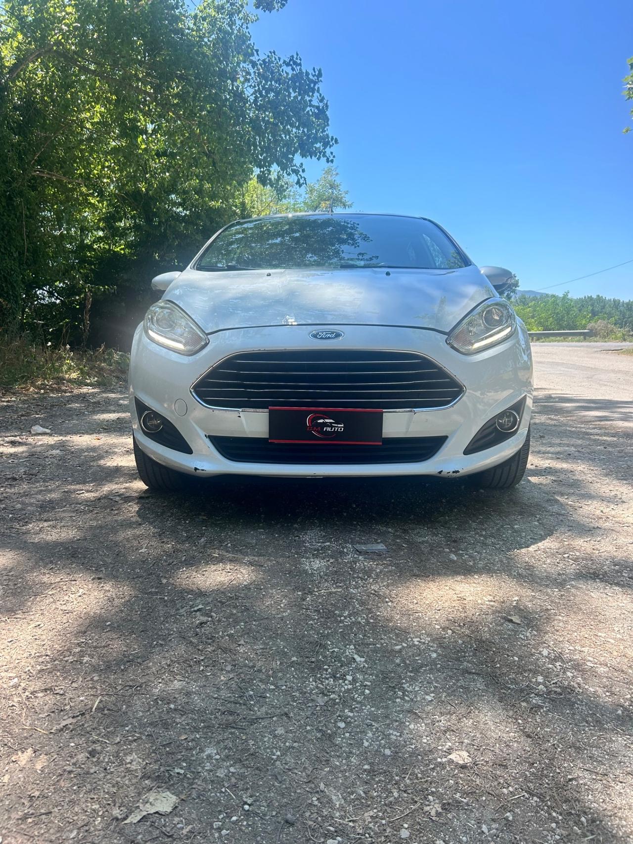 Ford Fiesta 1.4 5 porte Bz.- GPL Black & White Edition