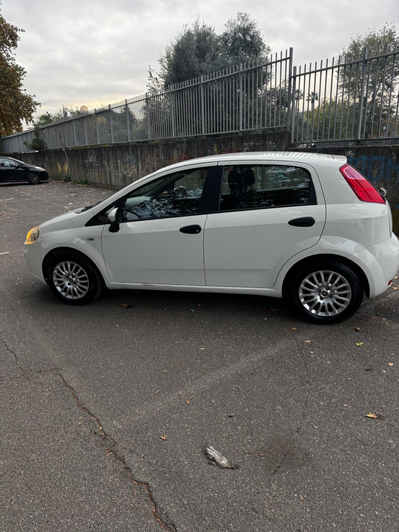 Fiat Punto 1.3 MJT II 75 CV 5 porte Street