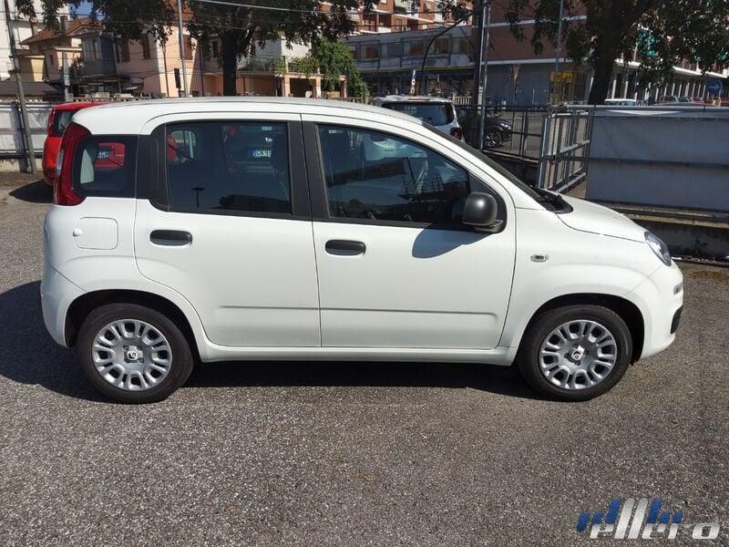 FIAT Panda MY25 1.0 70cv Hybrid