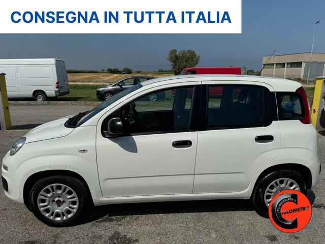 FIAT Panda FURGONE+IVA 1.2 EASY VAN N1 4 POSTI POCHI KM-E6D-