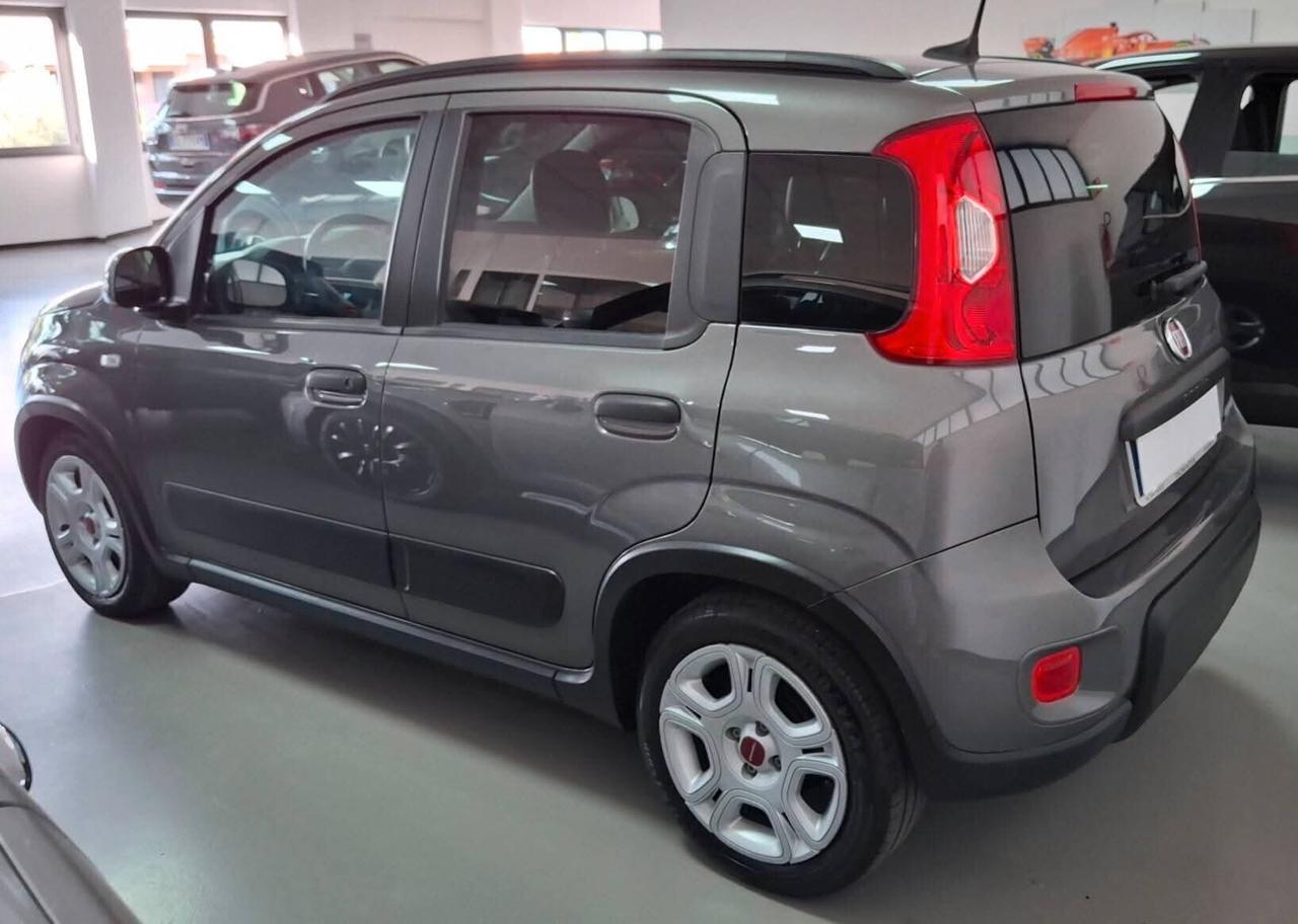 Fiat Panda 1.0 hybrid Vetri oscurati 5posti