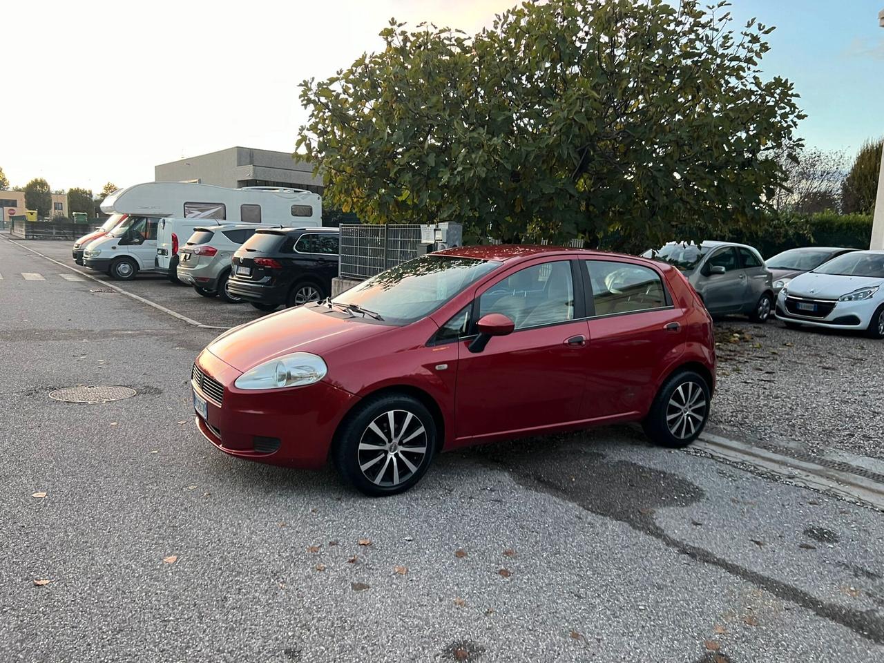 Fiat Punto 1.4 5 porte Active Ok neopatentato