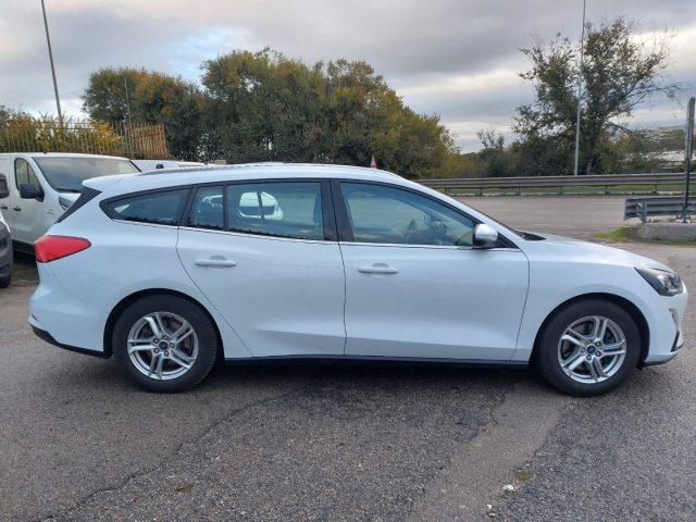 FORD Focus 1.5 EcoBlue 120 CV SW Business N1