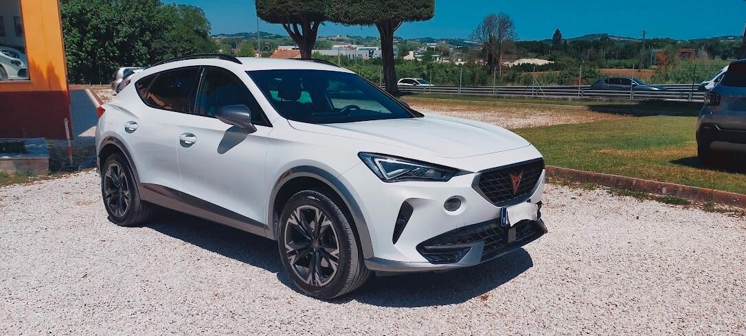 Cupra Formentor 2.0 TDI 4Drive DSG