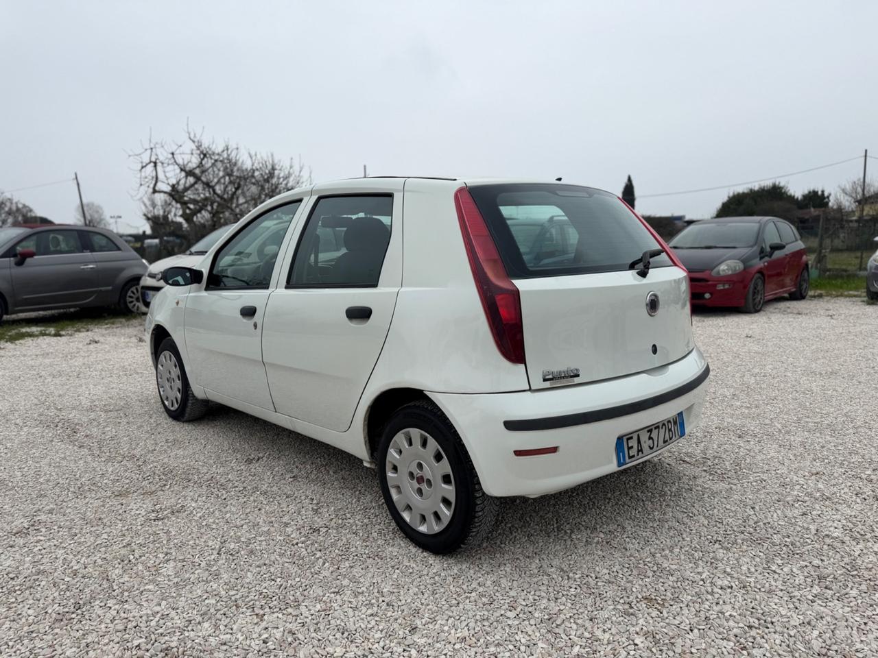 Fiat Punto Classic 1.2 5 porte Active GPL