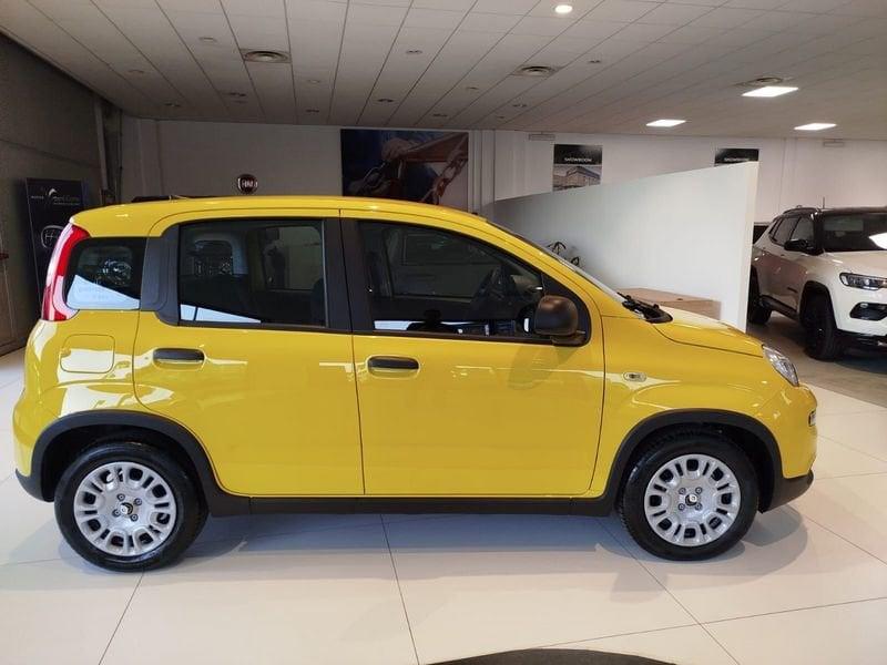 FIAT Panda 1.0 FireFly S&S Hybrid Pandina