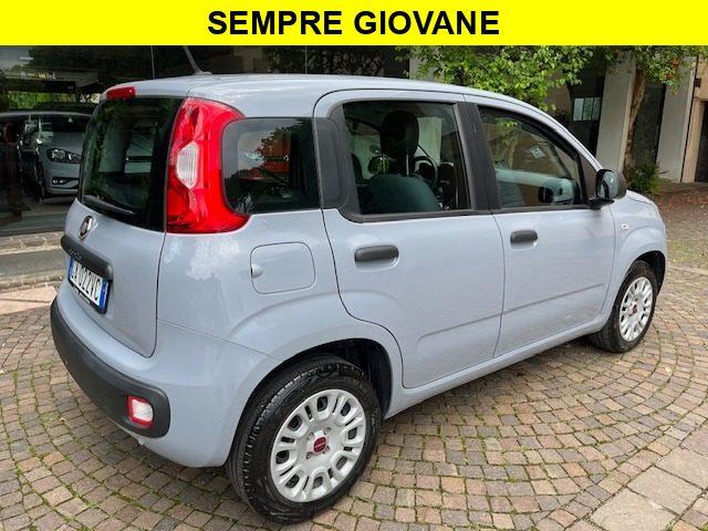 FIAT Panda 1.2 Benzina euro6 Neopatentati