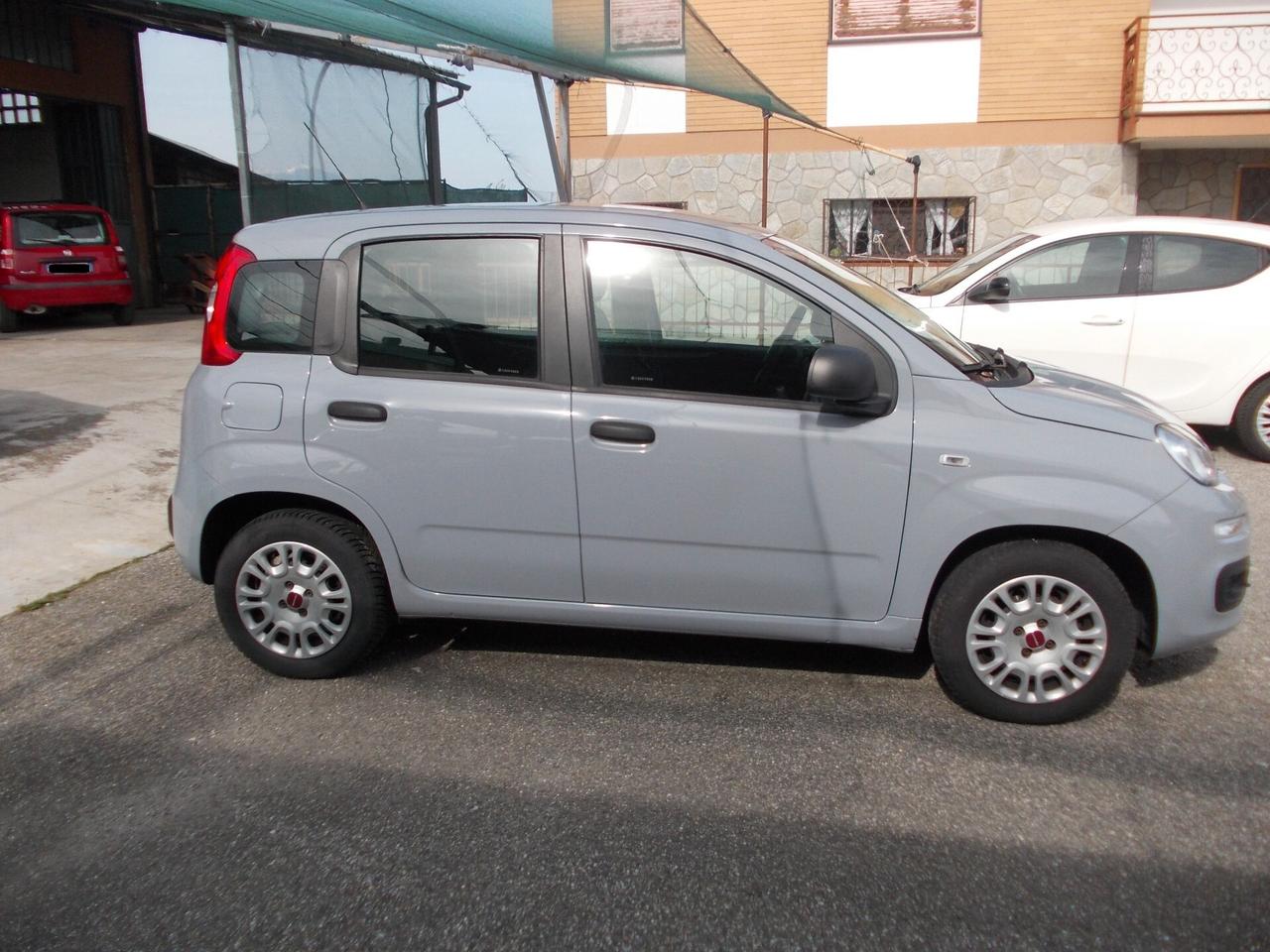 Fiat Panda 1.2 Easy-KM91289-SI NEOPATENTATI -5 POSTI