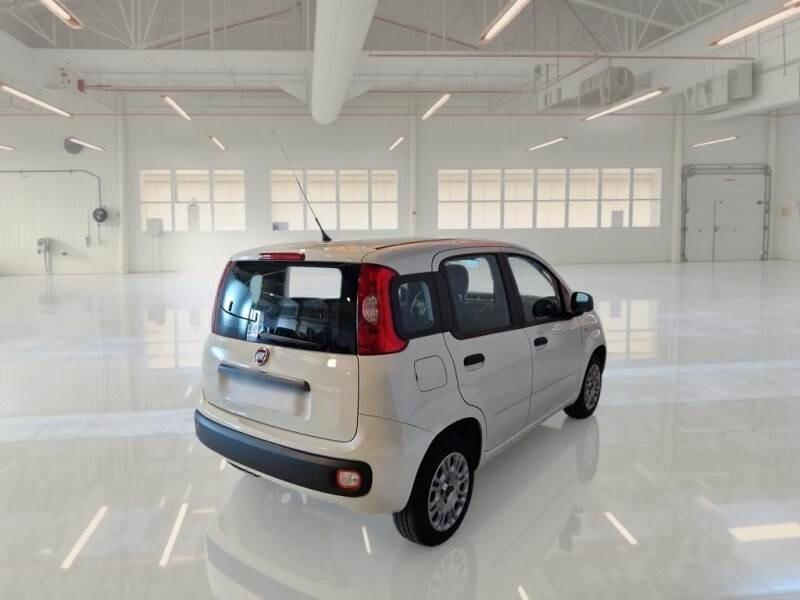 Fiat Panda Fiat Panda 1.2 easy 5 posti