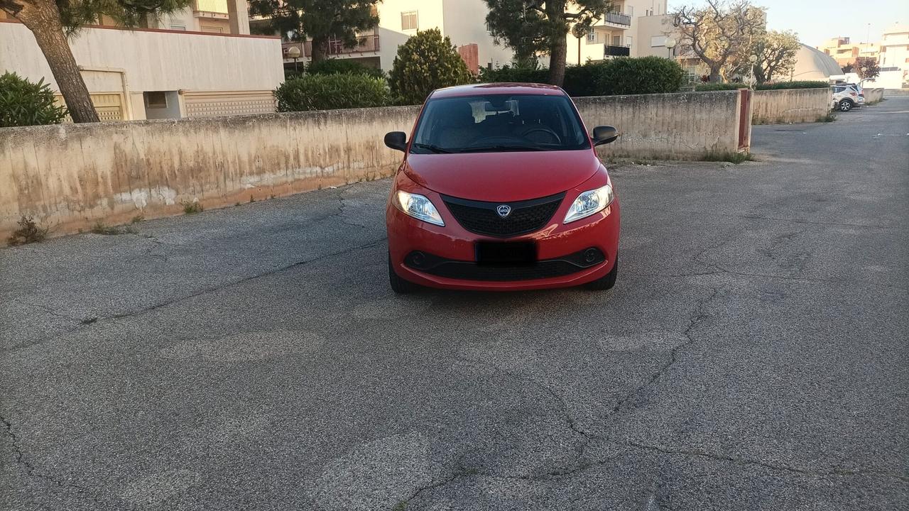 Lancia Ypsilon 1.2 69 CV 5 porte GPL Ecochic Elefantino Blu