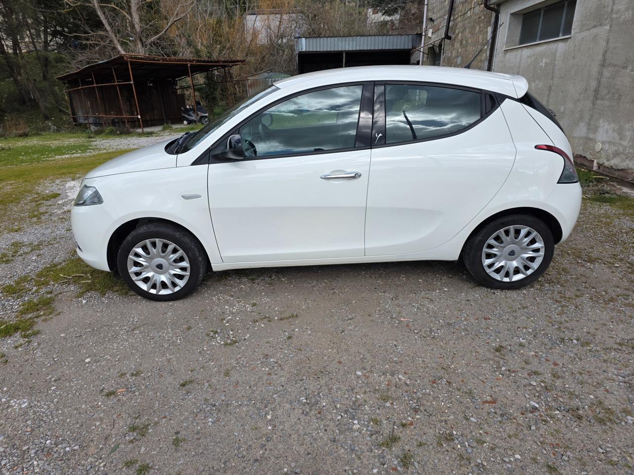 Lancia Ypsilon 1.3 MJT 16V 95 CV 5 porte S&S Platinum