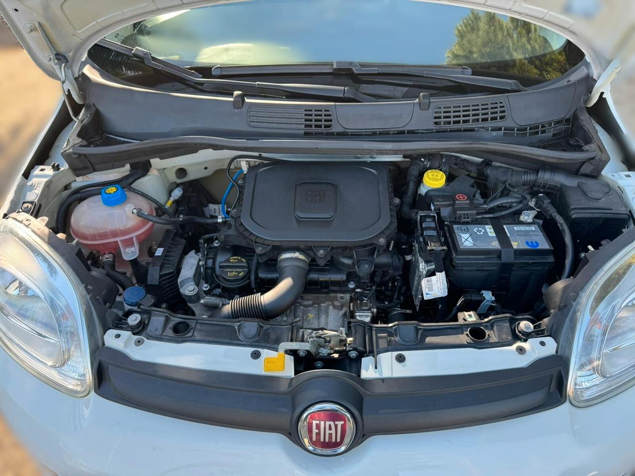 Fiat Panda 1.0 FireFly S&S Hybrid City Life
