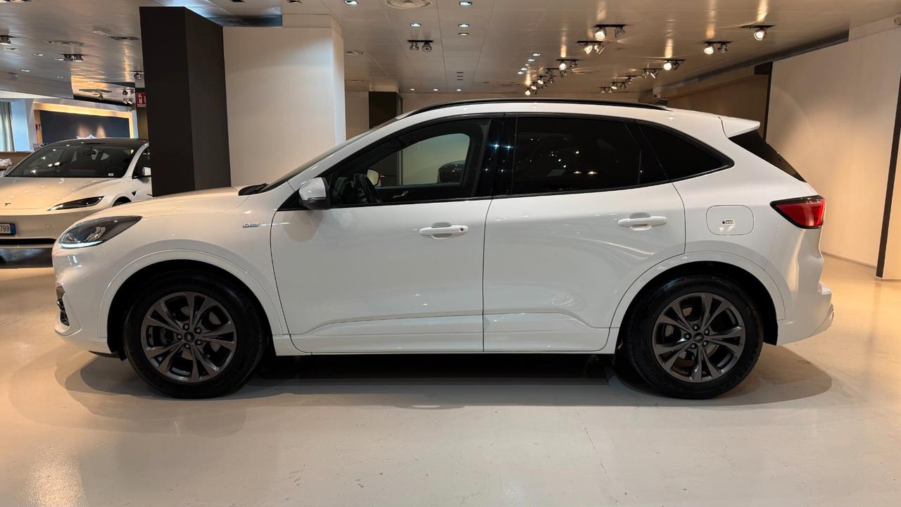 Ford Kuga 1.5 EcoBlue 120 CV 2WD ST-Line - 2021