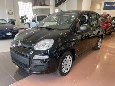 FIAT PANDA 1.0 HYBRID 70 CV