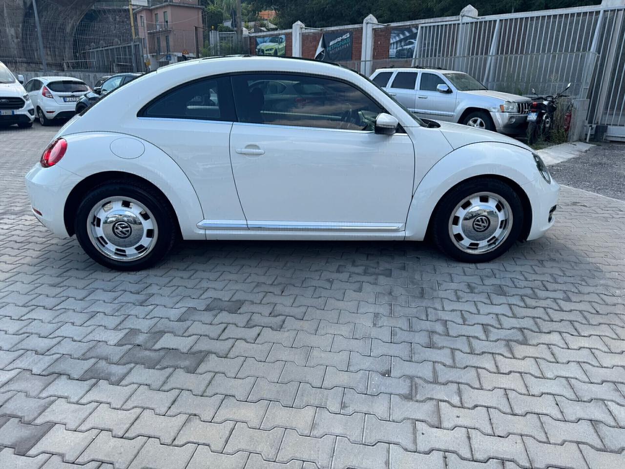 VW MAGGIOLINO 1.6 TDI 105 CV
