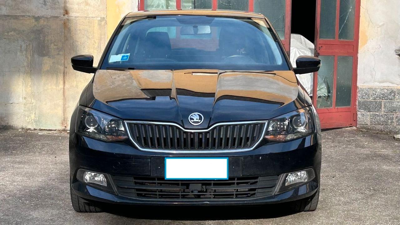Skoda Fabia 1.4 TDI 90 CV AUTOCARRO N1 4 POSTI