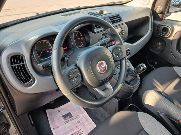 FIAT PANDA HYBRID 1.0 FireFly 70 CV S&S CITY LIFE