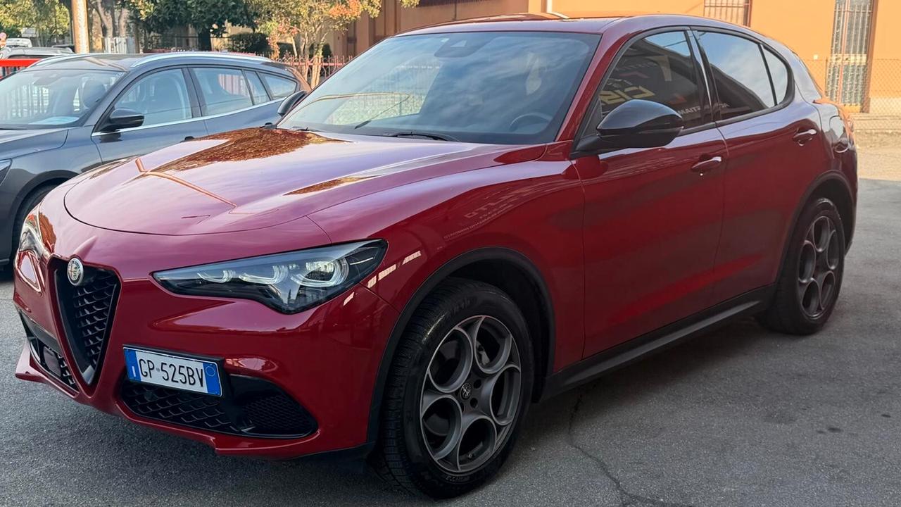 Alfa Romeo Stelvio 2.2 Turbodiesel 210 CV AT8 Q4 Competizione