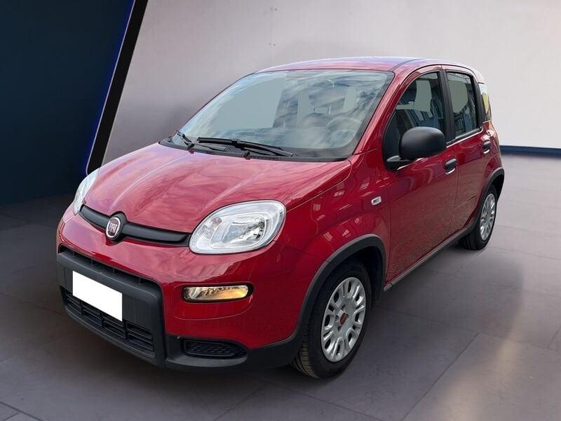 FIAT Panda My24 1.0 70cv Hybrid Panda
