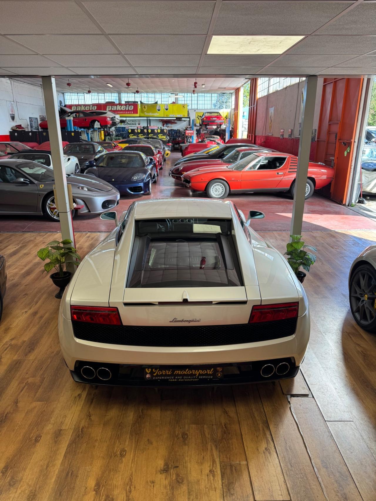 Lamborghini Gallardo LP560 PERMUTE