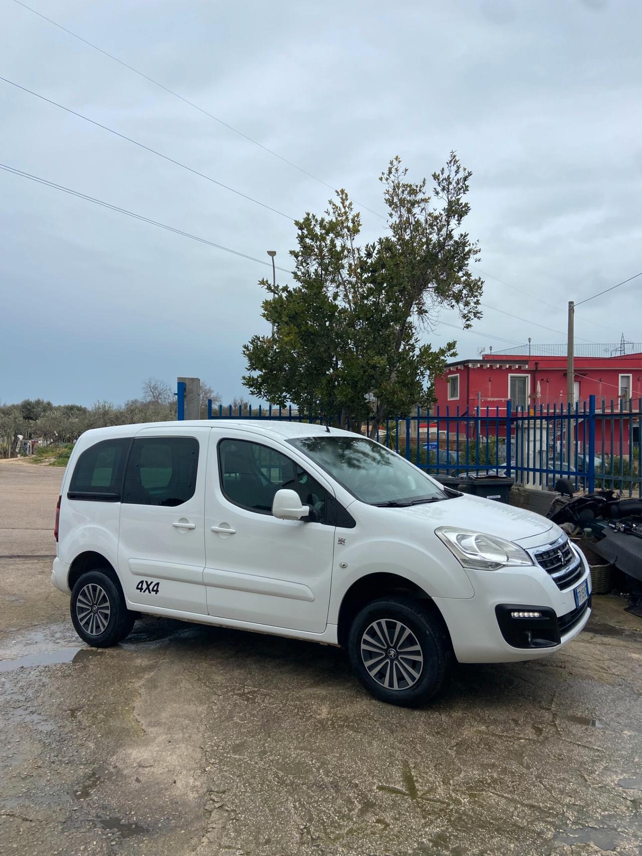 Peugeot Partner hdi 100 cv 4x4 DANGEL OUTDOOR