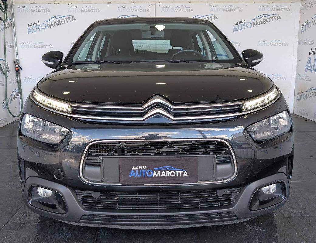 Citroen C4 Cactus 1.5 bluehdi Shine s&s 100cv